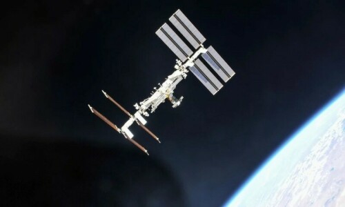 Study identifies hurdles to reproduction in outer space Study identifies hurdles to reproduction in outer space