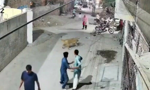 Escaped lion attacks woman and children in Lahore Escaped lion attacks woman and children in Lahore