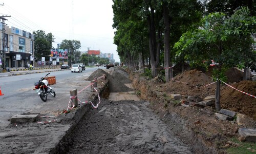 LHC again warns against felling of trees
