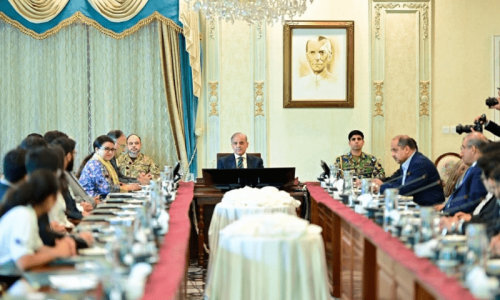 PM vows economic turnaround through reforms, meritocracy PM vows economic turnaround through reforms, meritocracy