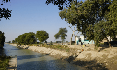 Elderly man loses life and bet to swim across canal in Bahawalpur