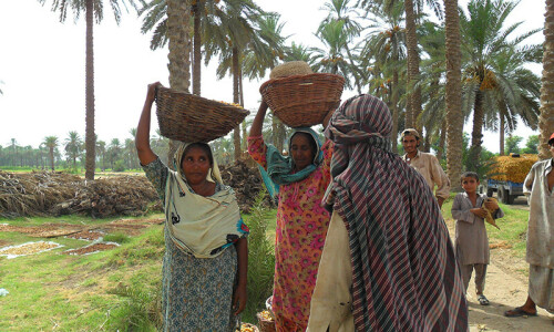 Women manage to repel gang of dacoits in Sukkur district Women manage to repel gang of dacoits in Sukkur district