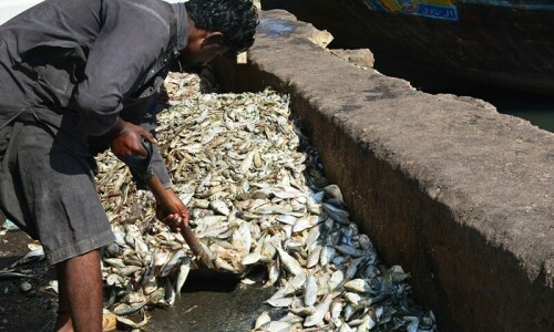 Maritime minister announces Rs3bn aquaculture project in Karachi’s Korangi harbour