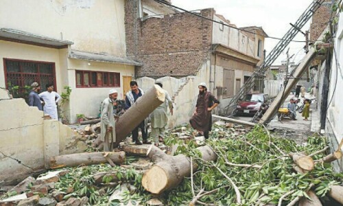 Houses, crops damaged as new rain spell hits KP