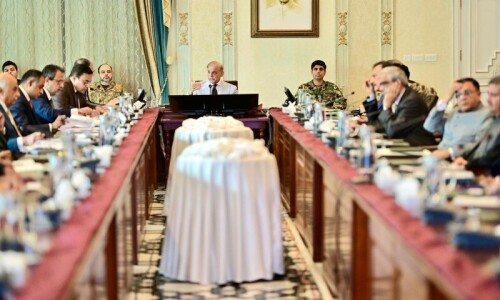 PM Shehbaz tasks Ahsan Iqbal with civil service overhaul PM Shehbaz tasks Ahsan Iqbal with civil service overhaul