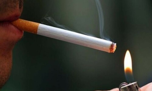 Punjab bans smoking in public parks Punjab bans smoking in public parks