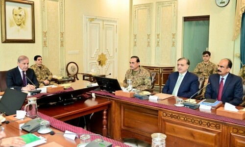 Govt acting on comprehensive and effective strategy to completely eliminate terrorist outfits: PM Shehbaz