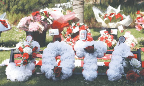 Portuguese star Diogo Jota dies in car crash in Spain