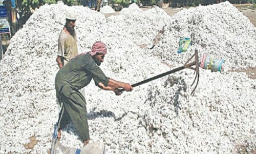 Cotton imports surpass domestic output
