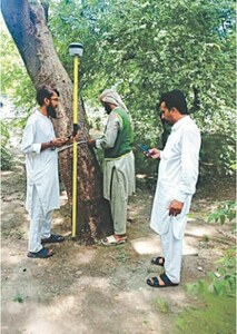 Canal Road&rsquo;s green cover digitally mapped