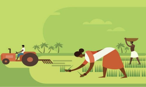 Exporting produce at a cost