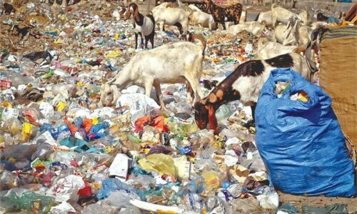 WWF demands total ban on single-use plastics WWF demands total ban on single-use plastics