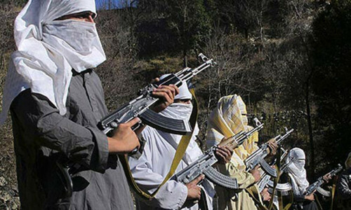 Tribal elders, TTP leaders agree to cease fire in Bajaur