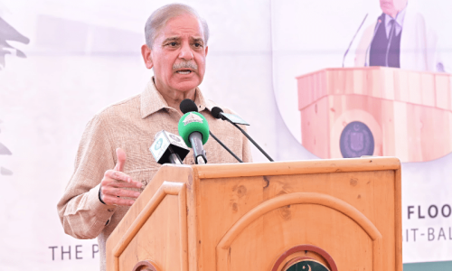 PM Shehbaz announces Rs4bn for mapping damage, reconstruction of GB after floods