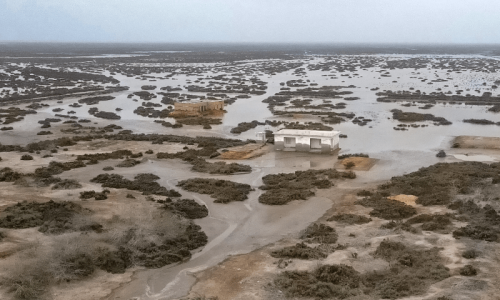 Death of a delta: Pakistan’s Indus sinks and shrinks