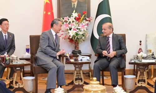 China affirms commitment to working with Pakistan on regional peace and stability China affirms commitment to working with Pakistan on regional peace and stability