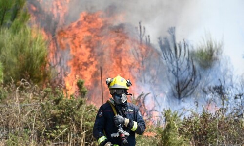 Portugal suffers new wildfire  death; Spain  beats back blazes