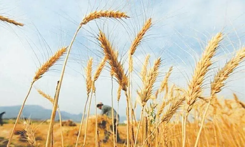 Crop data to be augmented using satellite technology Crop data to be augmented using satellite technology