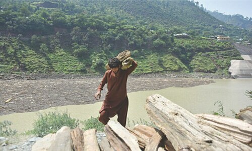 Villagers throng Nauseri Dam to collect timber after Neelum floods