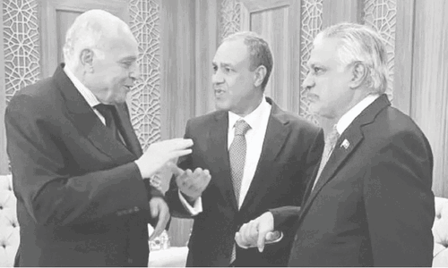 Pakistan, Turkiye reaffirm solidarity with Palestinians, call for urgent aid