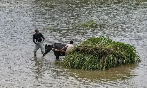 Sialkot, Narowal and Jhang worst-hit by floods Sialkot, Narowal and Jhang worst-hit by floods