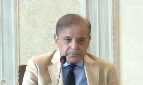 PM Shehbaz stresses need for roadmap to overcome climate change challenges