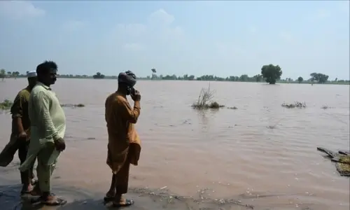From jackals to dolphins, Pakistan’s wildlife reels under deadly floods