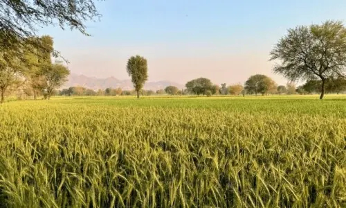 Updating agri-lending Updating agri-lending