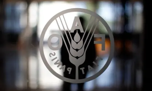 FAO leading countrywide flood impact assessment on govt’s request