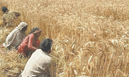 Minimum prices for major crops urged Minimum prices for major crops urged