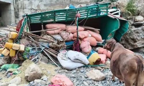 At least 11 dead, 3 wounded as truck crashes in KP&rsquo;s DI Khan: Rescue 1122