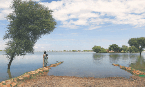 Floods threaten humanitarian crisis in Punjab
