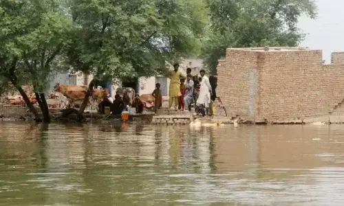 Punjab approves Rs20,000 per acre compensation for crop losses faced by flood-hit farmers