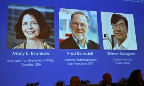 Nobel medicine prize goes to researchers studying immune system precision Nobel medicine prize goes to researchers studying immune system precision