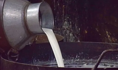 192 adulterated milk-producing networks caught in Punjab 192 adulterated milk-producing networks caught in Punjab