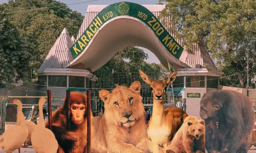 The Karachi zoo is proof that man is the cruelest animal