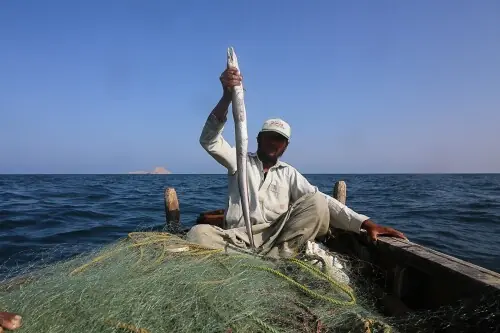 Six trawlers involved in illegal fishing seized