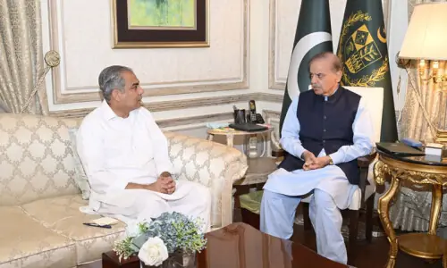Interior minister briefs PM Shehbaz on law and order situation