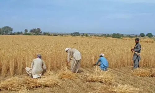 Farmers win wheat price hike, ask for more