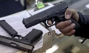 15-day grace period for illegal arms return Punjab to scrutinise 1m licenced weapons