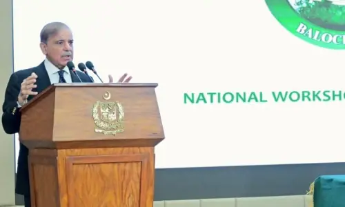 Consensus between provinces necessary for unity, says PM Shehbaz Consensus between provinces necessary for unity, says PM Shehbaz