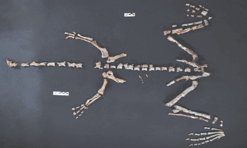One of world’s oldest dinosaurs discovered in Andes Mountains One of world’s oldest dinosaurs discovered in Andes Mountains