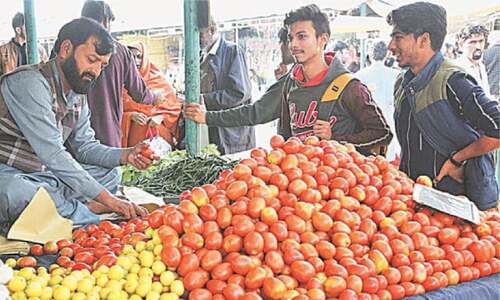 Consumers face tomato shock amid govt&rsquo;s inaction