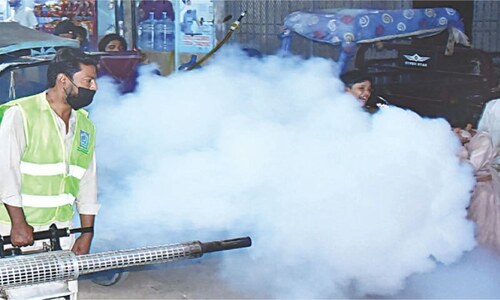 Sindh govt downplays dengue outbreak, confirms 276 new cases in October