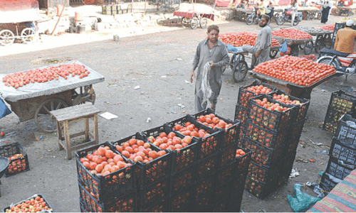 Tomatoes being sold at more than double the official rate in Rawalpindi