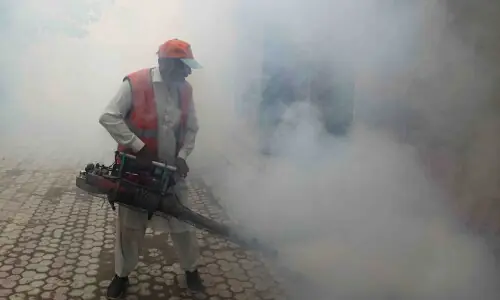 59 people infected with dengue in Turbat