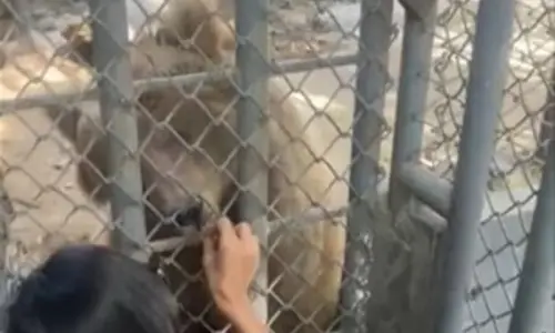 Rano set to be freed from Karachi zoo today