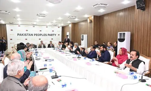 PPP agrees only on proposed amendment to Article 243 during CEC meeting PPP agrees only on proposed amendment to Article 243 during CEC meeting