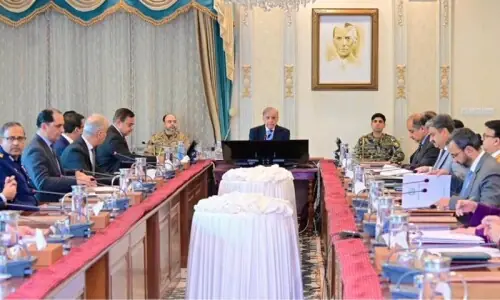 PM Shehbaz directs PIA’s speedy privatisation PM Shehbaz directs PIA’s speedy privatisation