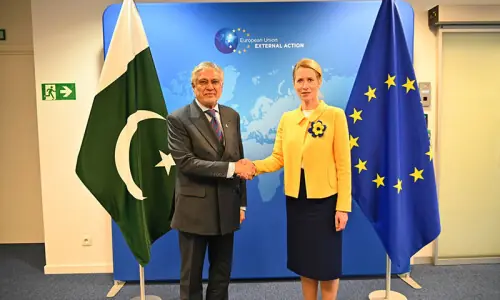 EU and Pakistan urge Afghanistan to root out terror on its soil, ensure women’s rights in joint statement